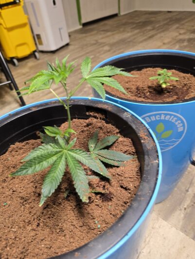 e53af13c-9dcc-4bfb-bc38-52a9e133e3f8