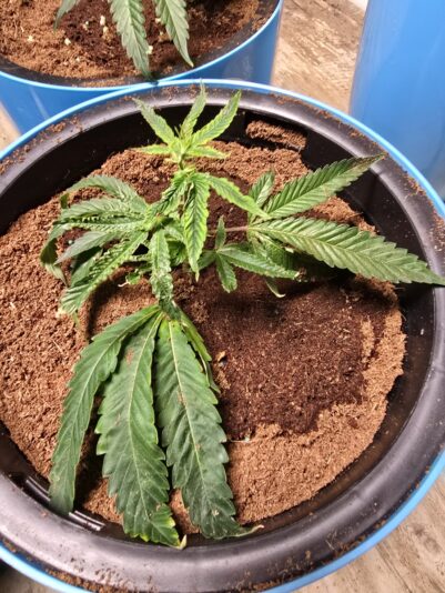 0f34eae3-350f-4961-a816-937dd9e83449