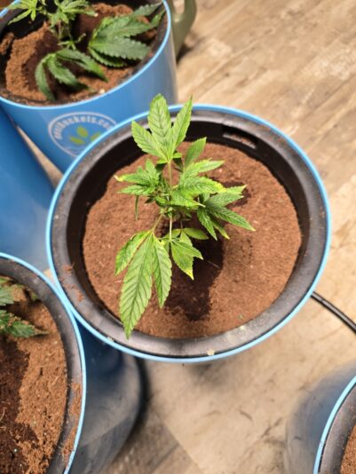 2e397076-dff8-4fe2-9749-52501b4b690e