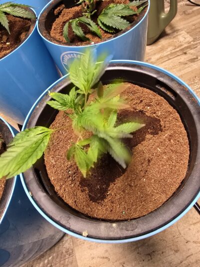 5577d095-c6e6-4261-b76c-82a9433da31f