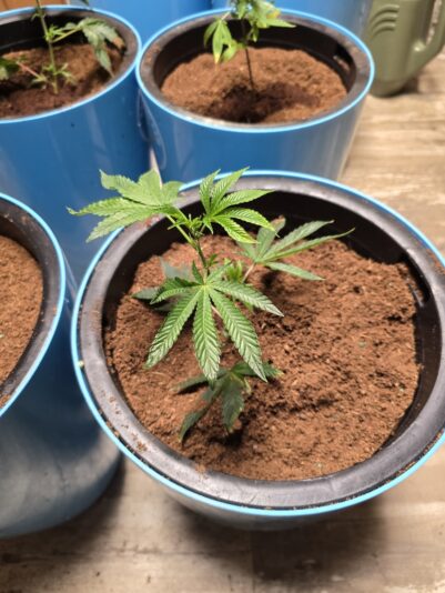 859a74a1-fe6c-46ec-88ad-76f2e46c8205