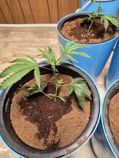 c41dc8b5-230c-4f53-89b5-8267a320c071