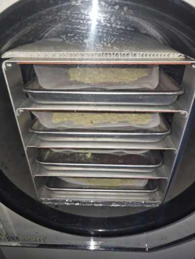 2986eadc-1968-4f46-8008-88ec0a113227