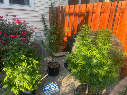 F6FD5B89-B003-44FE-928C-2659D945AB32