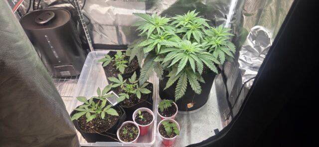 84997ffa-9a9d-4392-87c9-de6948795405