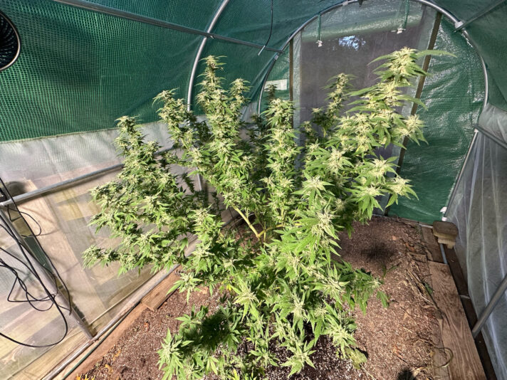 DE0F120C-79E8-486F-B1BB-10C935C378D2