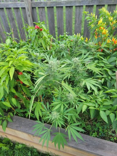 8234269d-fa8d-49fd-aa0f-3144d6cba2c8