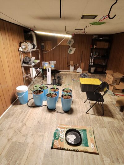 263347fd-a472-4263-bfa4-00473b559a13