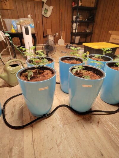 5a7b98e6-0cdd-4997-aa8d-75faf1961b9d