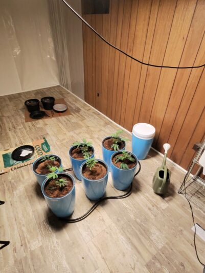 776d6965-11b8-462d-8749-dd37173576b6