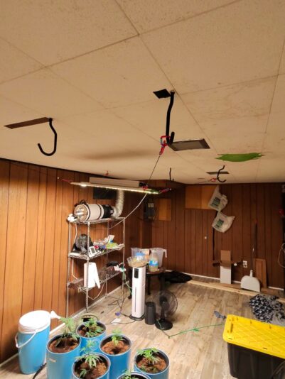 d4ecf7ae-ea83-4400-a97c-c954c2d3122b