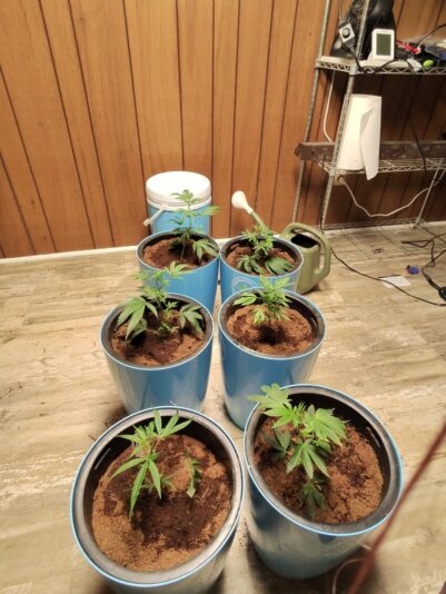 ec069679-65d1-4cb3-af7c-8275e04b250f