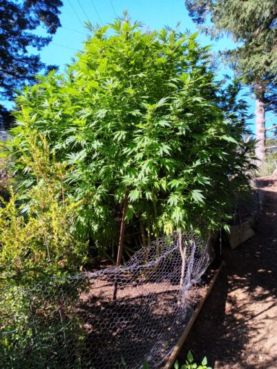 3bc61053-1ba3-4a92-a189-9a5f5d17551b