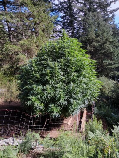 c7c8b8d7-e01f-4586-ba9c-c552fa9a3d92