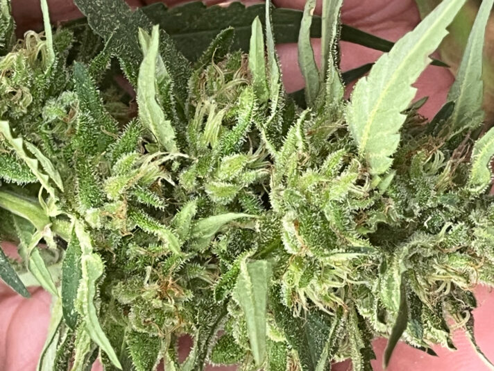 870A5F5A-2FF2-433C-B7F0-C3A0B47DB86F