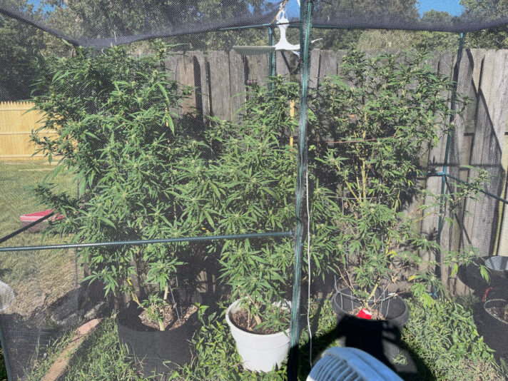 B1CEA48B-EF45-42AC-A413-CFC5F0B02ACC