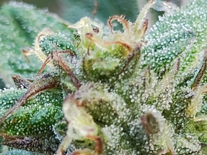 8cf8dfe7-2790-49b9-b31b-465b5b370b47