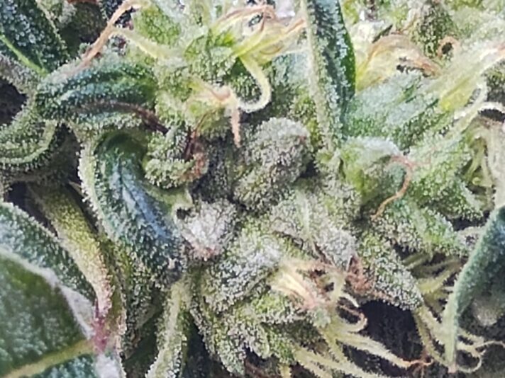 9118bf78-97eb-456c-89e3-33f059e68029