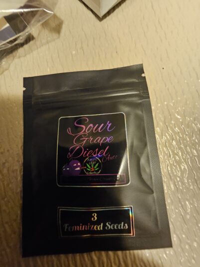 d828ccf3-a951-4de4-bb75-51baaf989c35