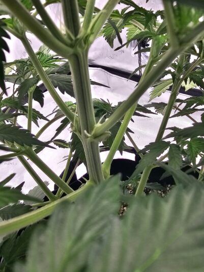 fb9b831a-393e-457f-b89b-5486f29d17f9