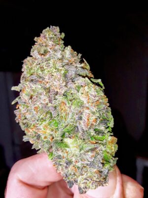 signal-2019-10-10-082113-11~4