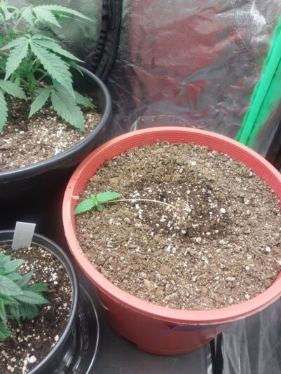 4fb0f827-7b8e-4fc5-8ab8-17093be99b73