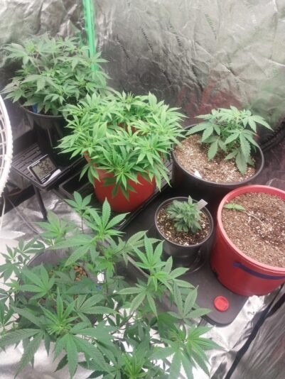 9115277d-aac0-4d09-a7aa-99eb9b5254a5