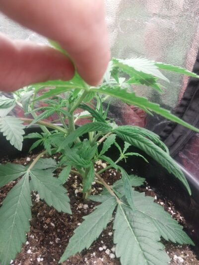 ee8671fb-b6d4-4dc2-9dda-d04c241fb0f7