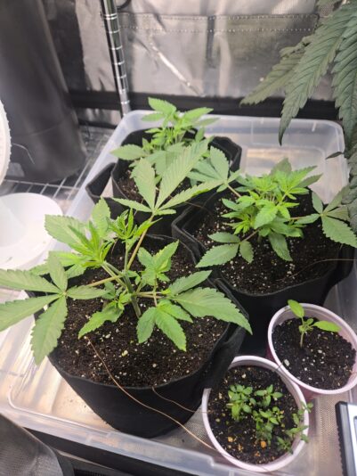 d18b56e8-6a20-4d4a-bae9-a7efe6fa35c9