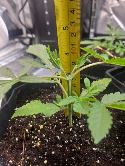 0e9d49dc-1291-46ae-bed0-e0d63b383e2b