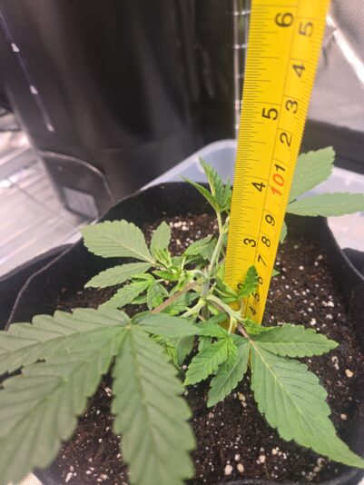 65f0f908-e52a-4038-be48-d5408d6c2938