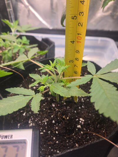 d123d364-8846-4df9-9459-a10c9d65bc5c