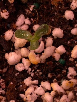 18E426E1-8D59-4EDB-BAAD-DAFFAFD62636