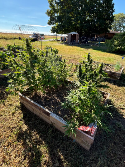 166B2544-4EE2-4DD3-AC56-03A9A44E1233