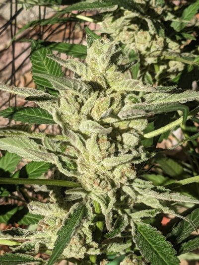 3ccd6bec-e4a0-437c-b91b-ab8fbd1d1b9e