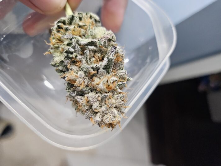 dede160e-ea3d-436f-ada6-815c3347a78f