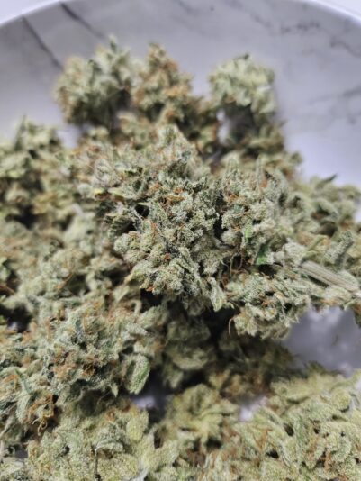 83e2ddba-c966-4ed4-991d-5ddd7d58d6eb