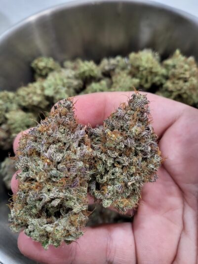 8c002243-6d41-488e-8148-2c50e36d0ea7