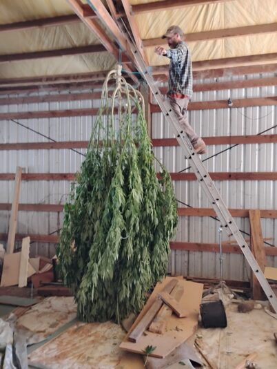 2d5d698d-ecc5-4d23-928c-0ea85f4b0623