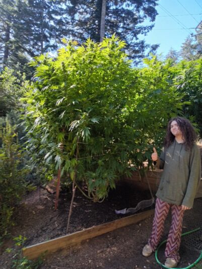 1f184a80-e9d6-4765-82e7-c8b8a0b5d3d3