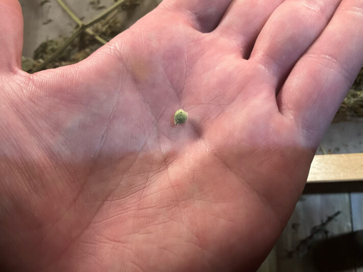 0EAFC09A-0EA6-41F9-8ED2-5AFE931C580B