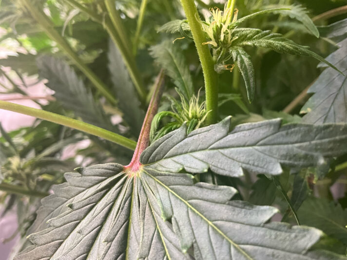 0F585E0B-DF9F-46C2-9D42-8FA2CA44B47F