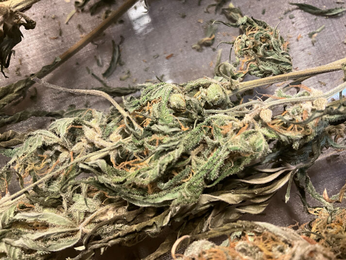 1D9F1BB1-7830-4A22-8215-890F068B04FF