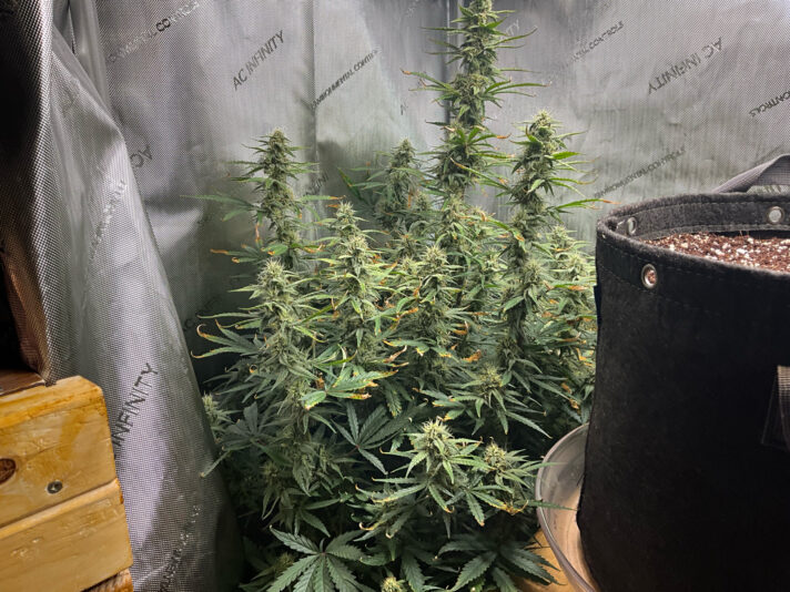 1E7A3168-176A-428E-9802-EACB865C5B17