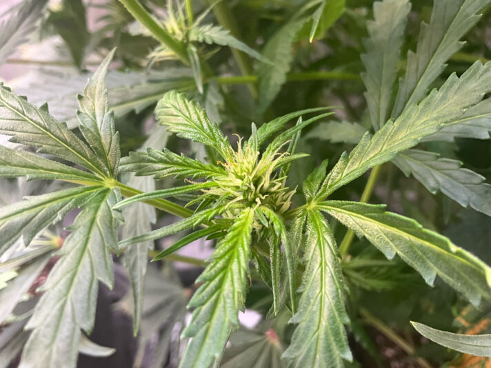 609775C1-AC2C-4471-85DD-E89787E92DCF