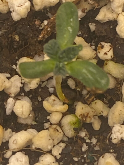 9F62923B-E29D-4D4A-AF98-9CB3E32BA72C