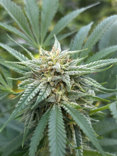 16627563-E538-4AC3-BE3E-2F79DE227D64