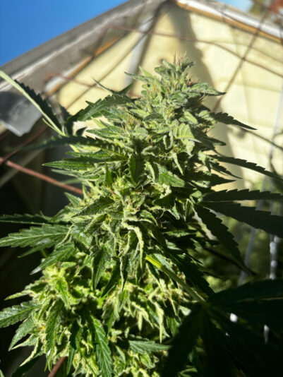 F88D23E9-790C-4BFA-B9FE-B5513CAB9603