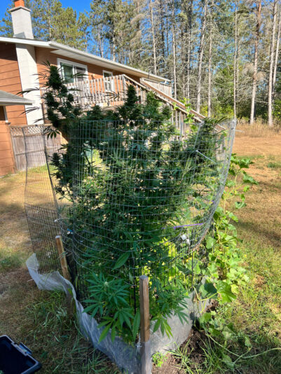 398E1F3C-05AA-4E6D-99BF-BA73E9DB87F0