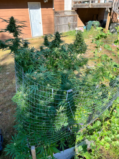 1A6F8D54-01CB-4F36-9A43-425DEC4C3E7C